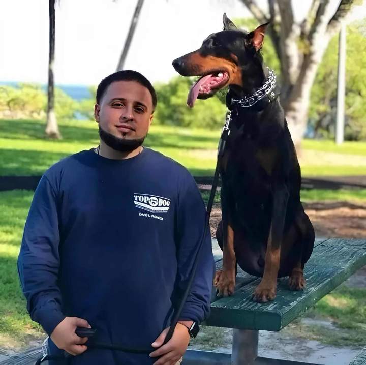 Dog Obedience Training Miami-Dade County