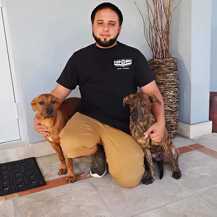 At What Age Should I Start Obedience Training for My Dog?<br/>How Old Should My Dog Be When I Begin Obedience Training? <br/>When Should I Begin Teaching My Dog to Be Obedient?