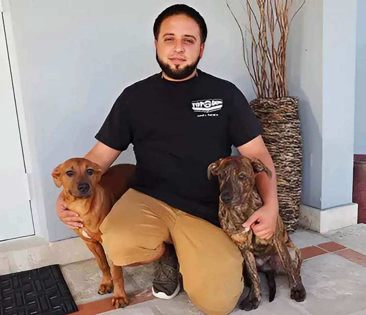 Dog Obedience Training Miami-Dade County