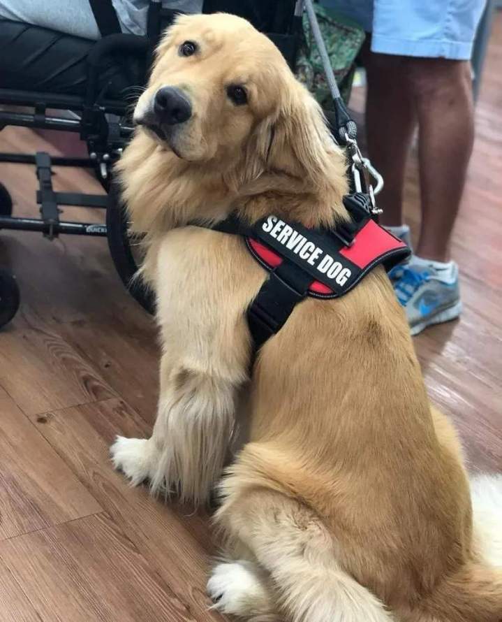 Personal Protection Training Miami-Dade County